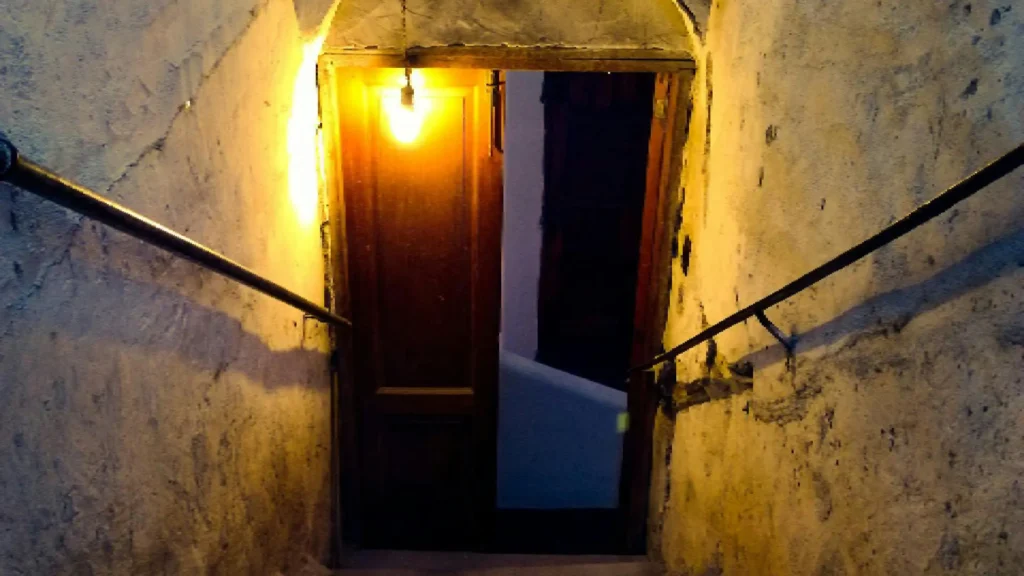 Top 7 Warning Signs Your Basement Needs Waterproofing